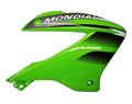 MONDİAL X TREME MAXX 200 İ BENZİN DEPOSU SAĞ PLASTİK KAPAK (YEŞİL) Resimi