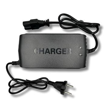 ŞARJ ALETİ 48V 17-24 AH ELEKTRİKLİ MOTOSİKLET Resimi