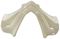 MONDİAL GİDON MUHAFAZA (BEYAZ) ELEGANTE 125 Resimi