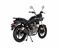MONDIAL 125 VULTURE i CBS MOTOSİKLET - SIYAH (E5) Resimi