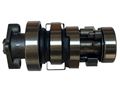 EKSANTRİK MİLİ SET SPACY-ALPHA-ACTİVA S-SPONTINI-FURY110 Resimi