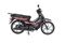 MONDİAL 50 SFC MİNİ EC MOTOSİKLET SİYAH (EURO5) Resimi