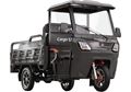 MOTOLUX CARGO 52000 GRİ 3 TEKER E-BİKE MOTOSİKLET Resimi