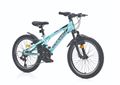 CORELLİ BİSİKLET DYNAMIC 20 JANT Resimi